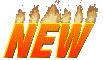 NOVO!